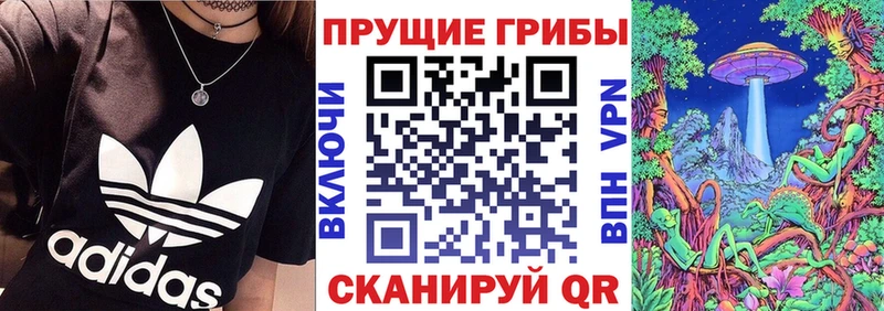 Псилоцибиновые грибы прущие грибы  MEGA ссылки  Белая Холуница 